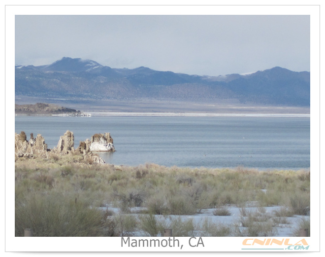 mammoth-20100219-147.jpg