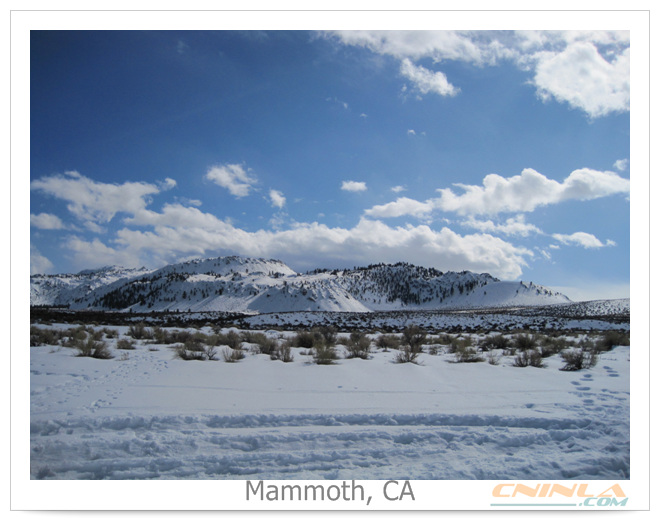 mammoth-20100219-159.jpg