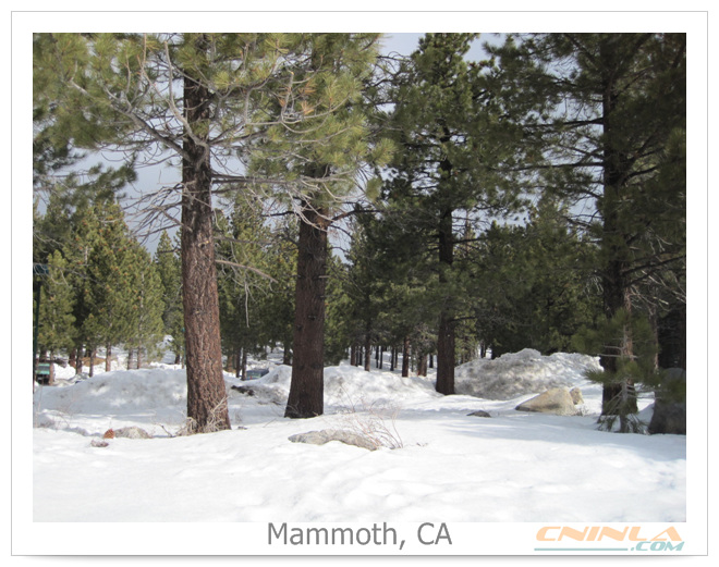 mammoth-20100219-78.jpg