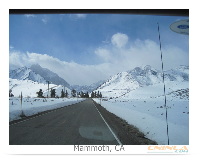 mammoth-20100219-85.jpg