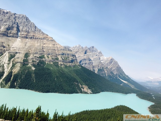 Peyto Lake and Bow Summit