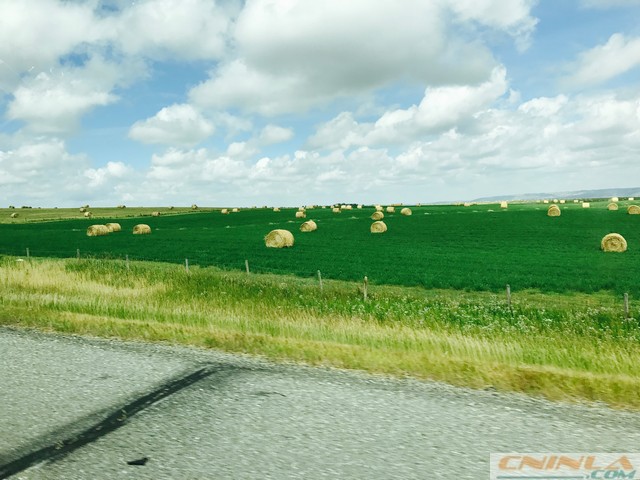 Road from Calgary to Banff