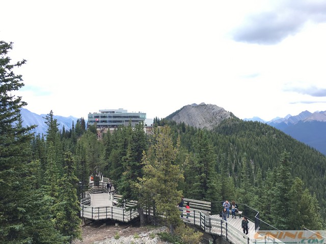 Sulphur Mountain