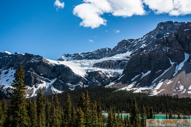 crowfoot glacier