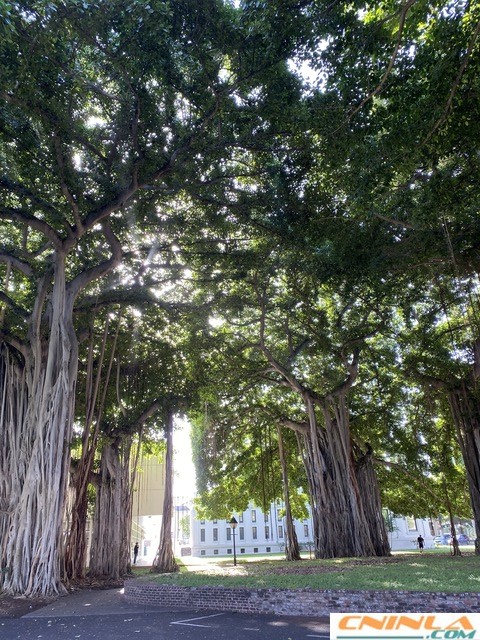 Iolani_Palace_2_640x480