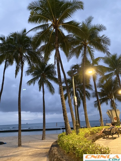 Waikiki_Beach_5_480x640